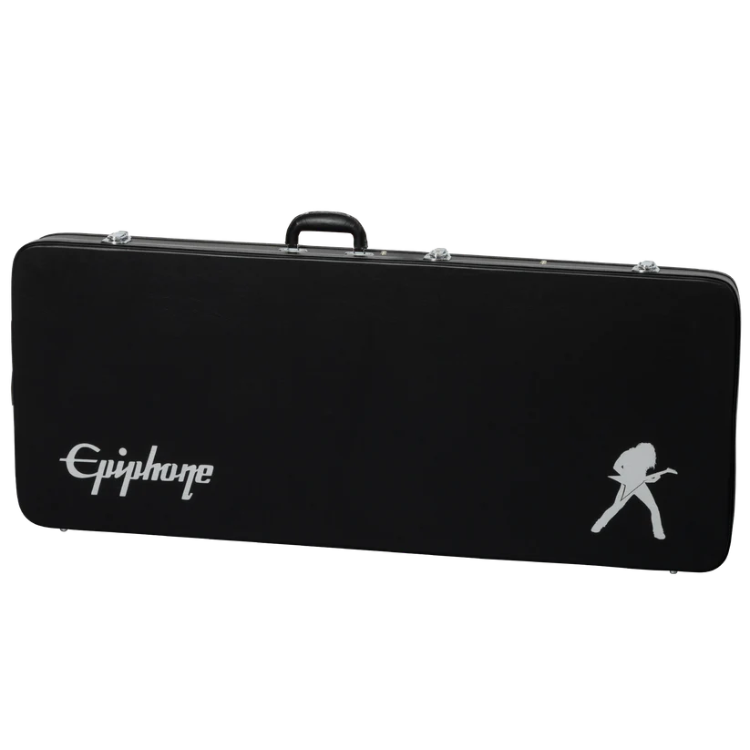 Guitar Case