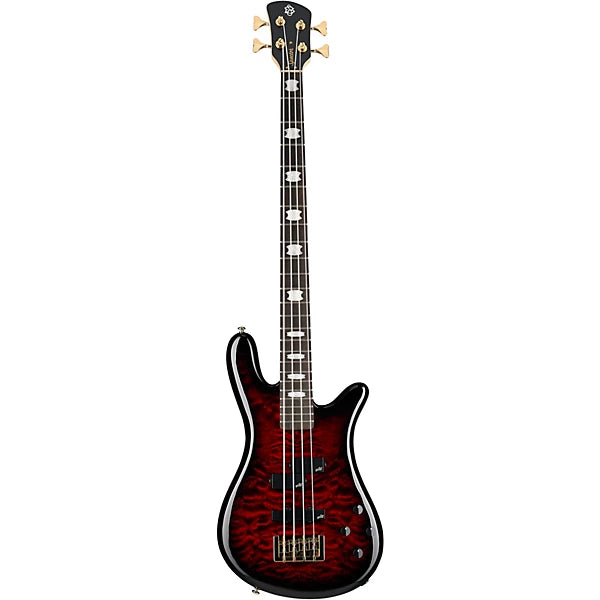 James LoMenzo Stage Played Spector Bass