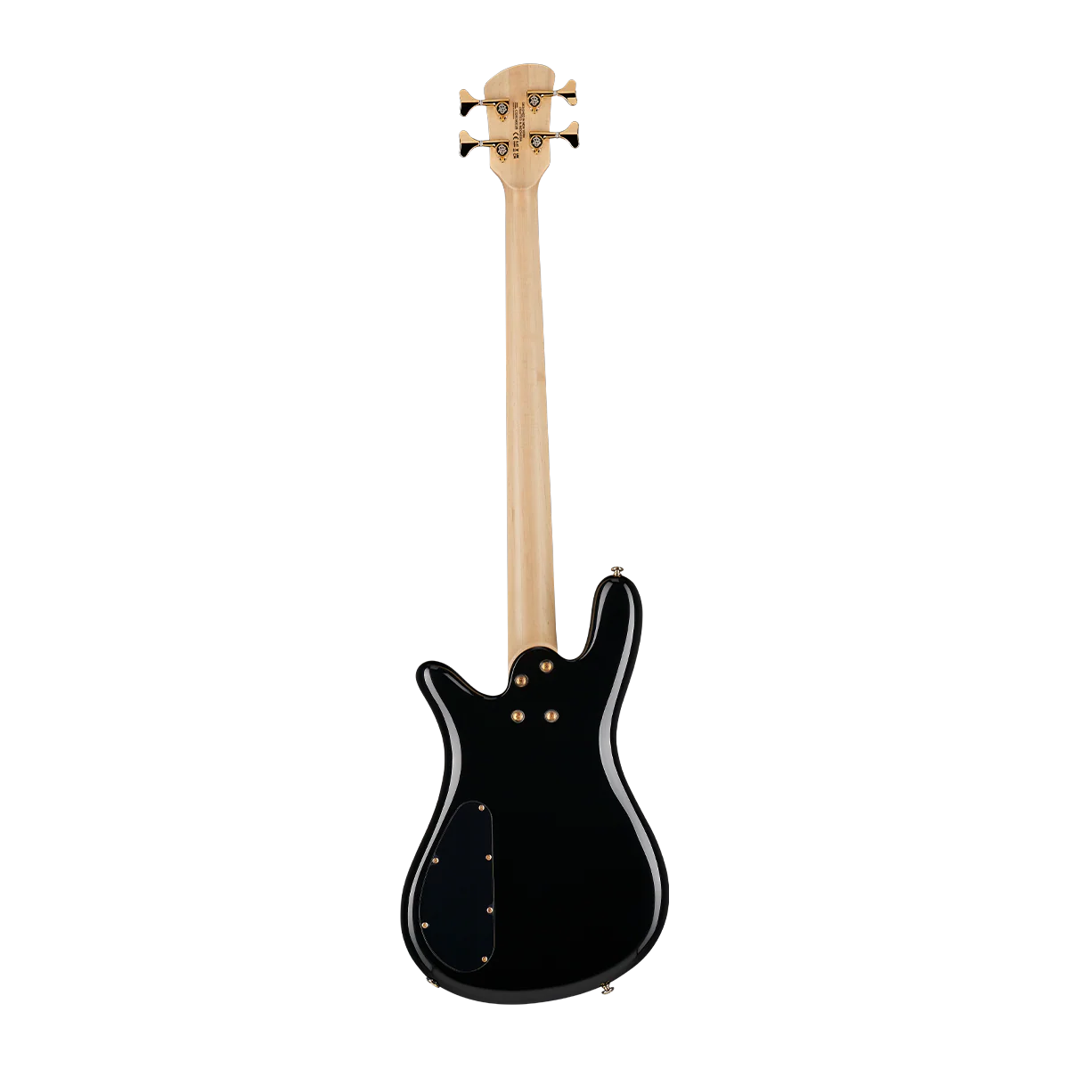 James LoMenzo Stage Played Spector Bass